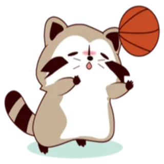 🏀 mapache, baloncesto, lindo, dibujos animados, animal, pegatina whatsapp sticker