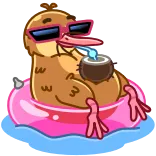 😎 pássaro, pato, óculos de sol, verão, piscina, coco, boia telegram sticker
