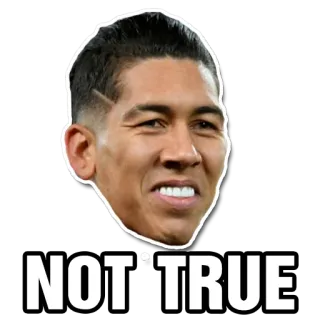 😨 NOT TRUE неправда, несогласие, сомнение telegram sticker