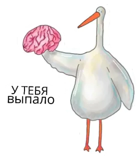 🧠 У ТЕБЯ ВЫПАЛО 황새, 뇌, 떨어뜨리다, 웃긴, 새, 만화, 밈 telegram sticker