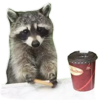 🥤 Waschbär, Tier, Tim Hortons, Kaffee, Donut, süß, lustig telegram sticker
