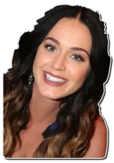 😄 Katy Perry ポップスター, 歌手, セレブ, 女性, ポートレート telegram sticker
