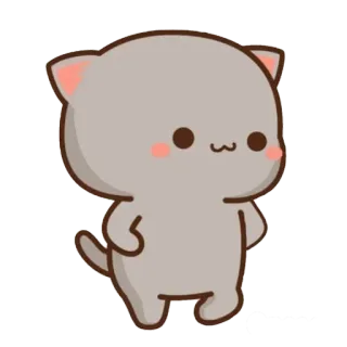 😏 cat, cute, animal, kawaii, peach, momo whatsapp sticker