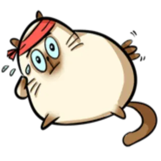 🥋 gato, correr, sudor, ejercicio, dibujos animados telegram sticker