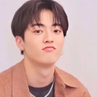 ☹️ ritratto, persona, uomo, viso, coreano telegram sticker