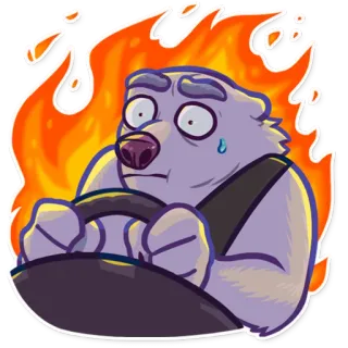 🚙 oso, conduciendo, fuego, dibujos animados, pegatina whatsapp sticker