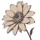 🌸