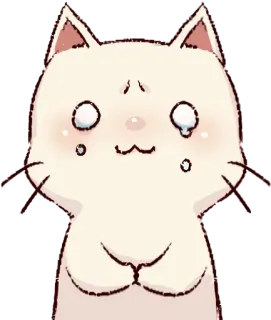 😫 cat, animal, cute, kawaii, crying, sad whatsapp sticker