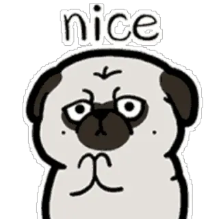 😃 nice pug, anjing, lucu, binatang, meme, bagus telegram sticker