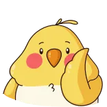 😏 새, 왕관앵무, 동물, 애완동물, 귀여운, 노란색 telegram sticker