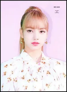 🦋 PIT A PAT kpop, Lisa, cantora, Blackpink, mulher whatsapp sticker
