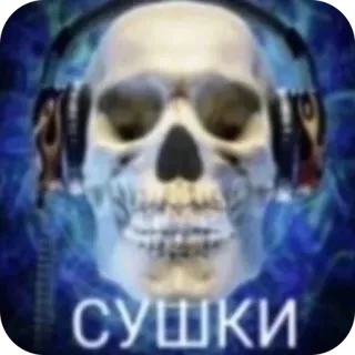 🫥 СУШКИ skull, headphones, music, skeleton, meme, blue, audio telegram sticker
