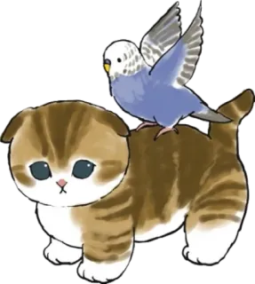 🦜 gato, gatinho, pássaro, periquito, fofo, animal de estimação, animal telegram sticker