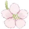 🌸