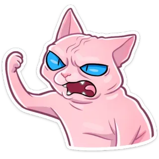 ✊ cat, angry, sphynx, meme, funny, grumpy telegram sticker