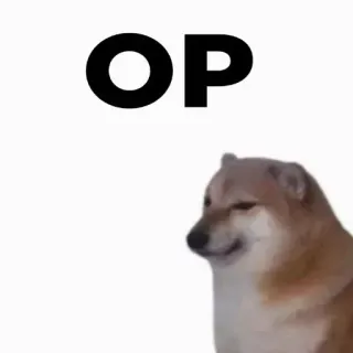 💯 OP doge, meme, dog, internet slang, humor whatsapp sticker