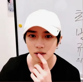 🐻 whatsapp sticker
