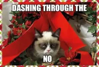 😐 Grumpy Cat DASHING THROUGH THE NO 不爽猫, 圣诞节, 不, 表情包, 猫, 假日, 潇洒 whatsapp sticker