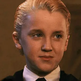 🐾 Draco Malfoy Harry Potter 드레이코 말포이, 해리포터, 슬리데린, 마법사, 캐릭터, 영화, 마법, 초상화 telegram sticker