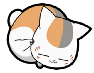😌 gato, durmiendo, lindo, animal, felino whatsapp sticker