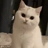😒