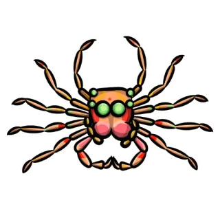 🇮🇳 aranha, aracnídeo, desenho animado, animal, inseto, assustador, rastejante, oito patas telegram sticker