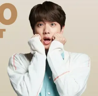 😱 Jin kpop, singer, entertainer, celebrity, music, idol telegram sticker