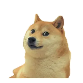 😏 Doge doge, собака, мем, сиба ину, животное telegram sticker