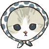 🐱