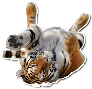 Derptacular Felines telegram stickers