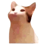 🙃 chat, animal, mème, pop chat, drôle, mignon telegram sticker