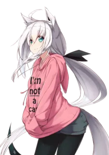 🦊 I'm not a cat anime girl, cat ears, hoodie, kawaii, manga, cute, fanart whatsapp sticker