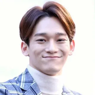 😌 Chen Sänger, K-Pop, EXO, Idol, Koreanisch telegram sticker