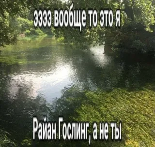 🤨 Ryan Gosling ээээ вообще то это я
Райан Гослинг, а не ты Fluss, Meme, Ryan Gosling, Text, Russisch, Wasser, Natur telegram sticker