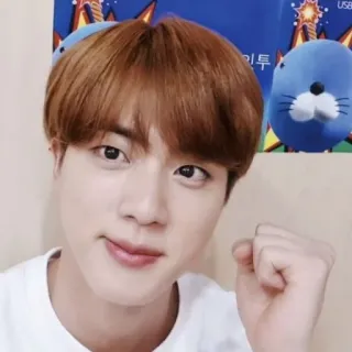 🐹 Jin Jin, BTS, K-Pop, Idol, Sänger, Boyband telegram sticker