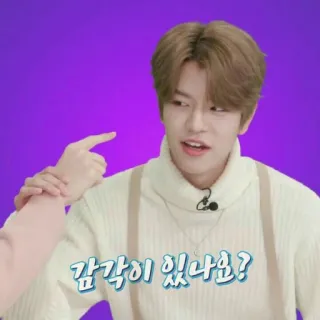 🐶 감각이 있나요? Coréen, Question, Expression, Homme, Personne, Pull whatsapp sticker