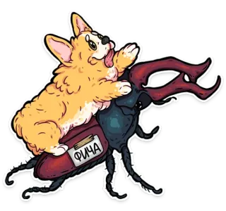 корги кодеры (@kotypic) telegram stickers