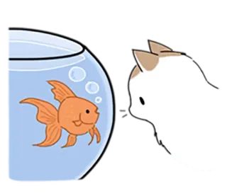 🐟 gatto, pesce, pesce rosso, ciotola, animale telegram sticker