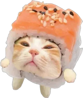 😗 cat, sushi, funny, cute, animal, food telegram sticker