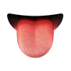 👅
