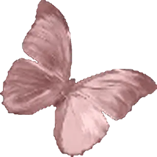 🦋
