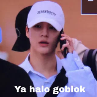 😘 Ya halo goblok Meme, Expressão, Internet telegram sticker
