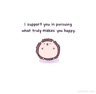 🐝 I support you in pursuing what truly makes you happy. поддержка, счастье, поддержка, милый, ёж, позитив, мотивация whatsapp sticker