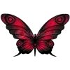 🦋