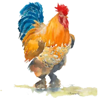 🐓 ไก่ตัวผู้, ไก่, สัตว์เลี้ยงในฟาร์ม, นก, สีน้ำ, สัตว์ปีก telegram sticker