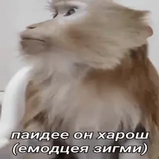 Больше стиков тут: @stikery4 telegram stickers