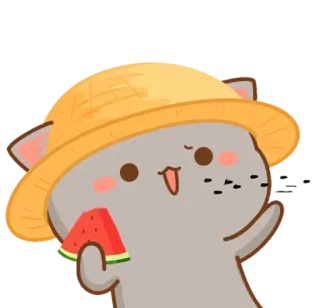 🍉 Katze, Wassermelone, Hut, süß, Tier telegram sticker
