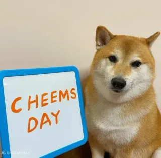 ❤️ Cheems CHEEMS DAY dog, meme, shiba inu, cheems, wholesome telegram sticker