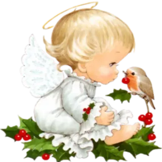 😶 anjo, pássaro, azevinho, querubim, natal, feriado telegram sticker