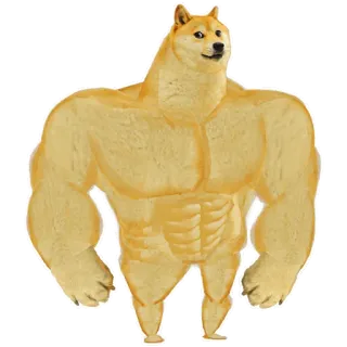 💪 Doge cane, meme, palestrato, forte, animale telegram sticker
